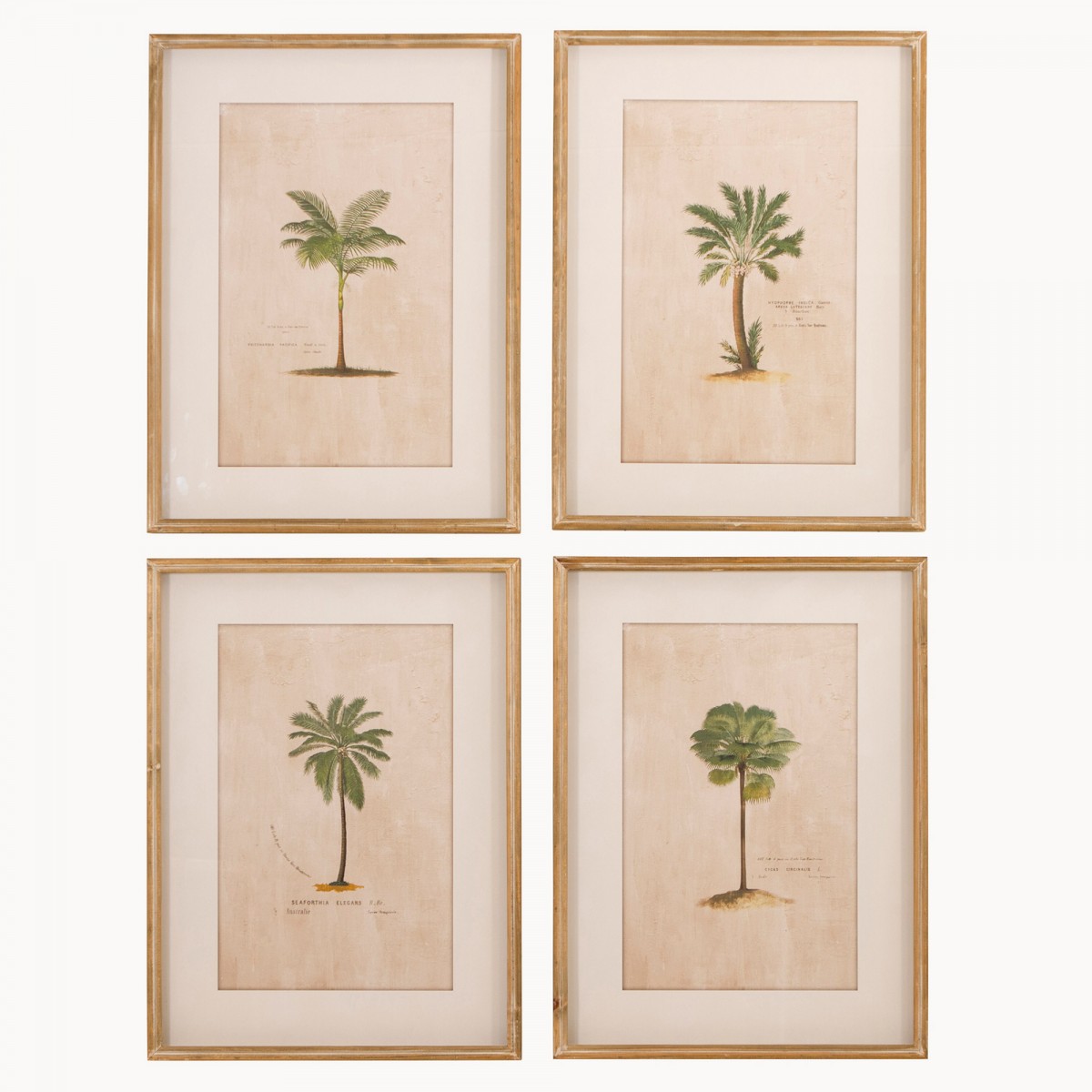 Brookby Set of 4 Framed Tropical Wall Art Wall Art One World