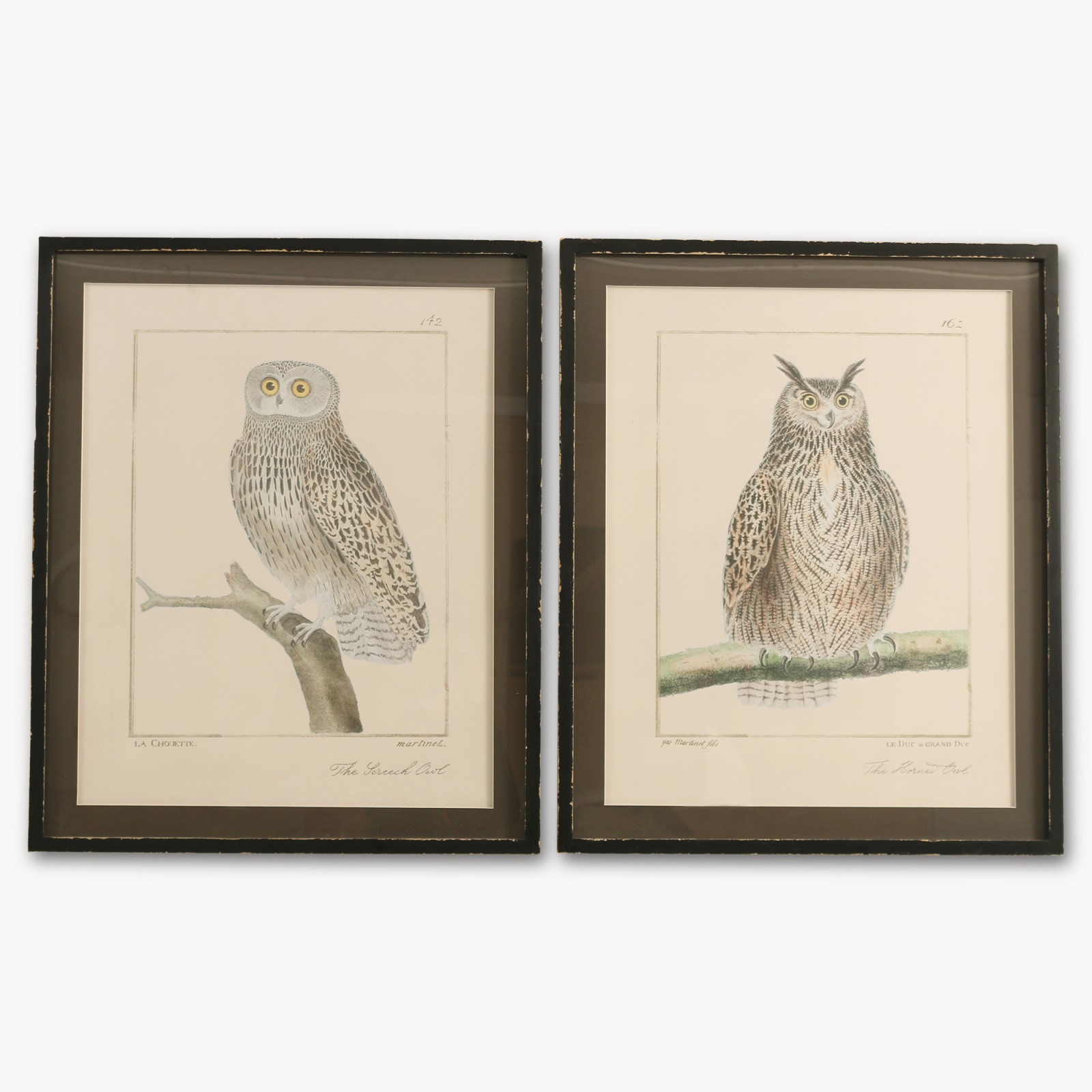 Brookby Set of 2 Framed Owl Wall Art | Wall Art | One World