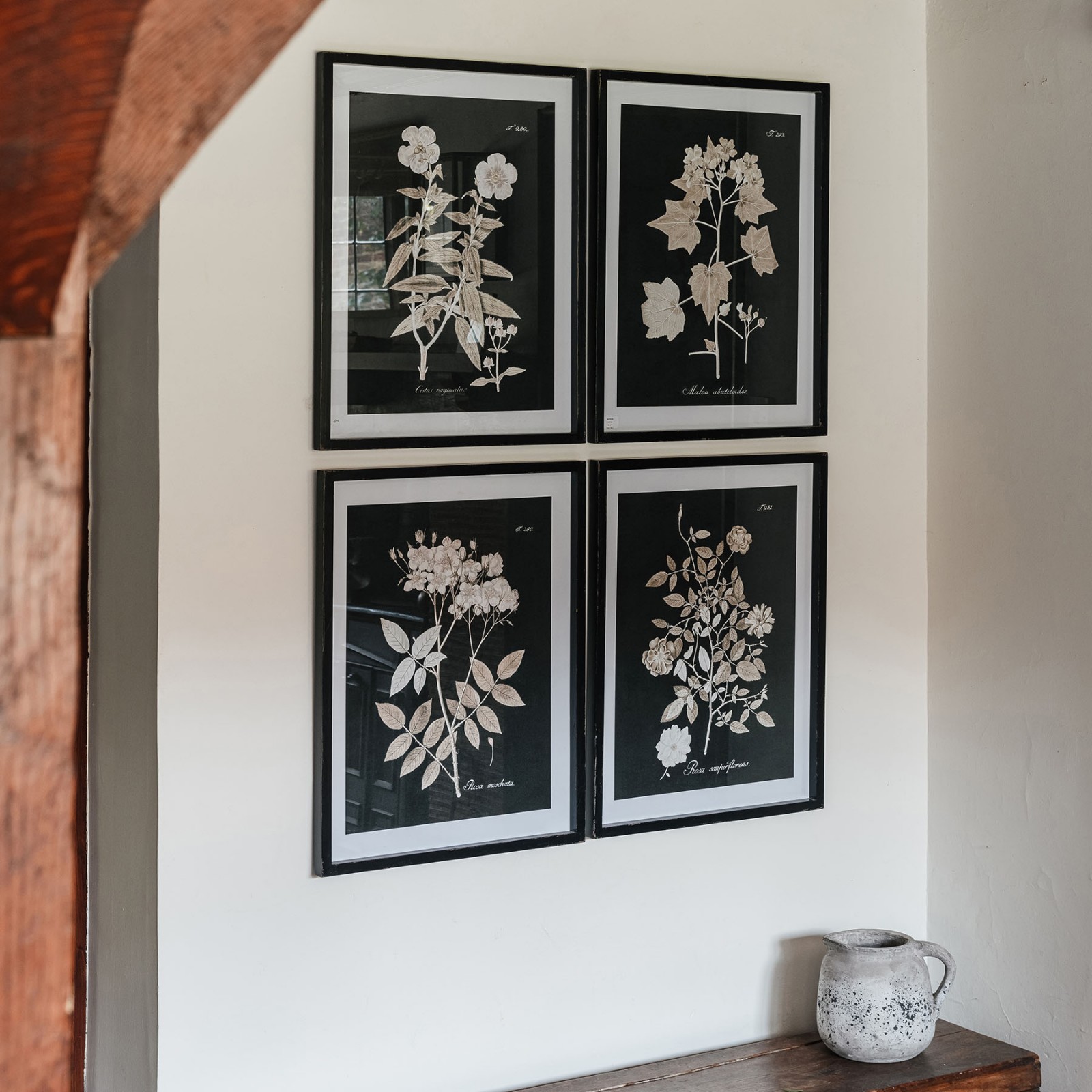 Brookby Set of 4 Framed Midnight Botanical Wall Art Wall Art One World