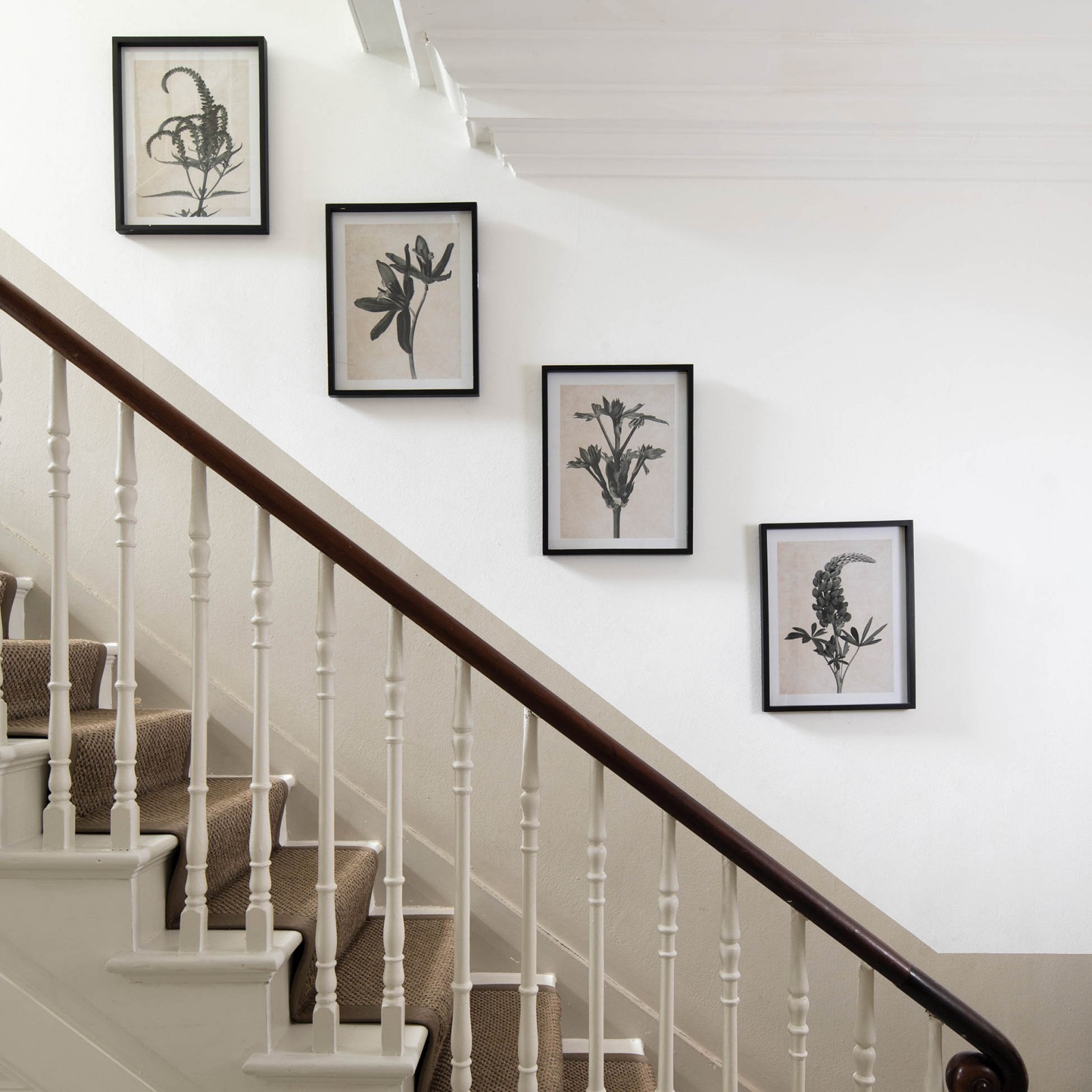 Brookby Set of 4 Framed Monochrome Floral Wall Art Wall Art One World