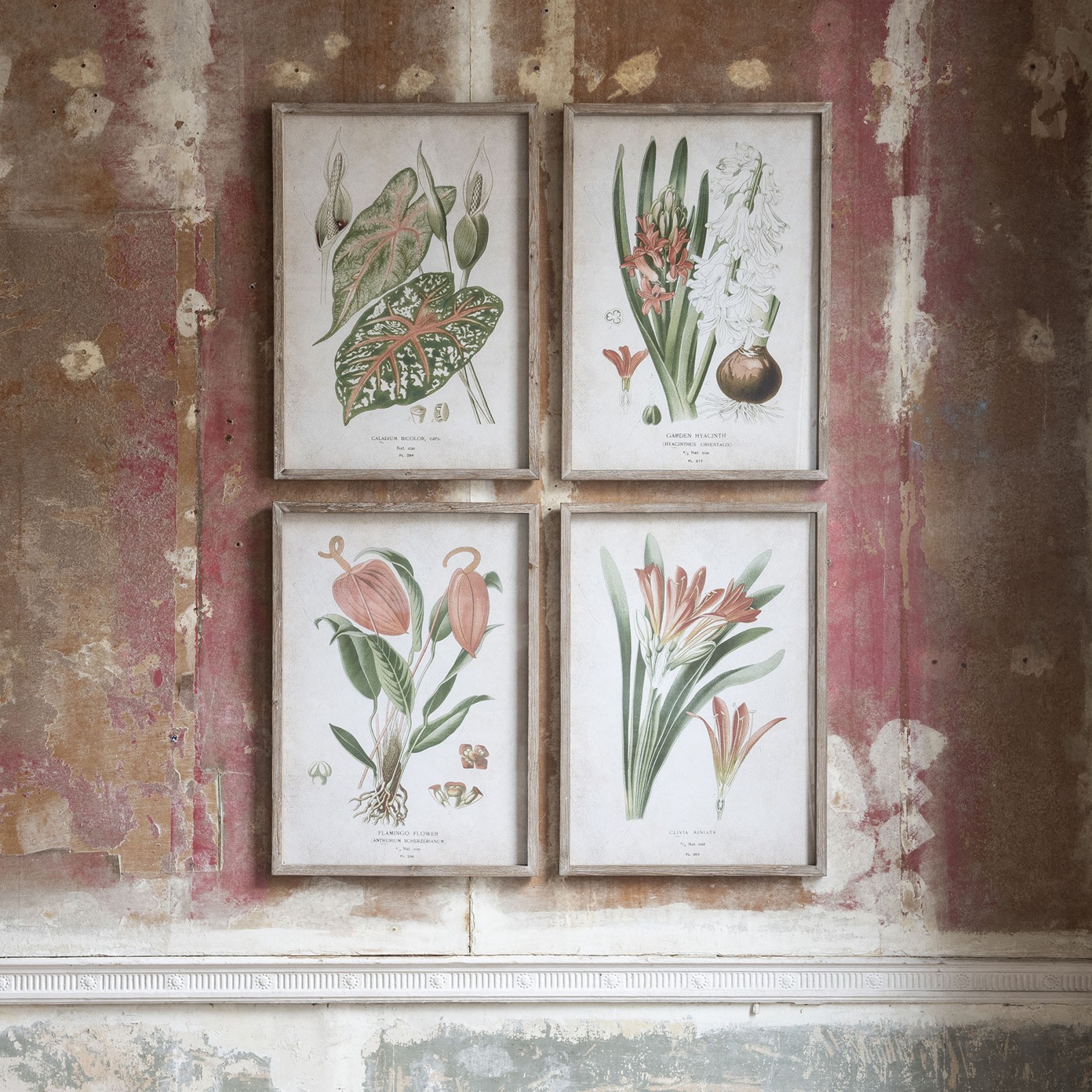 Brookby Set of 4 Red Botanical Wall Art Wall Art One World