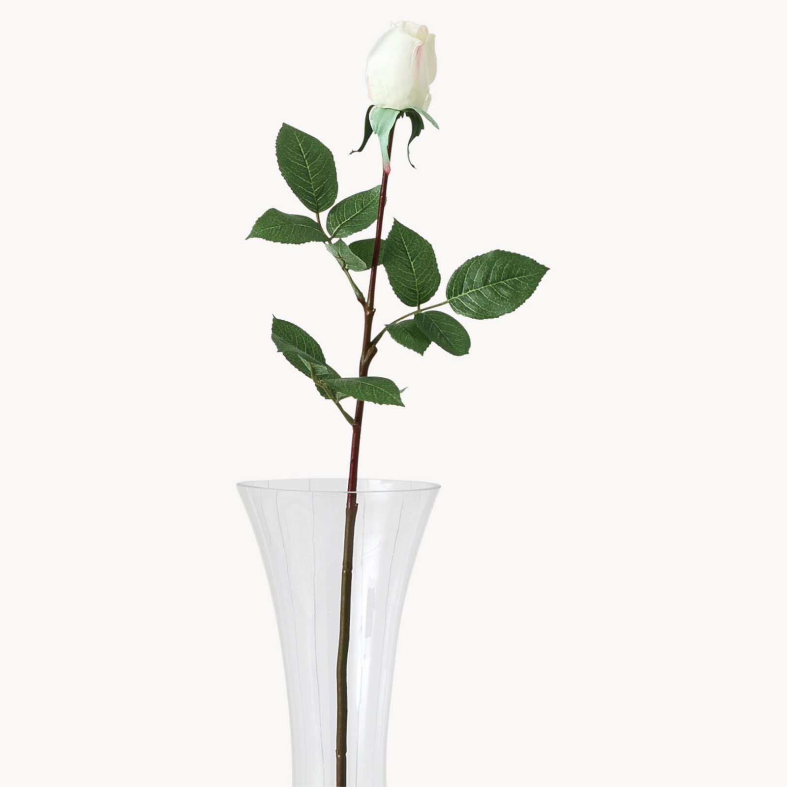 Sunbury Lisa Champagne Rose Bud Homeware One World