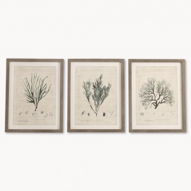 Brookby Set of 3 Framed Botanical Wall Art | One World