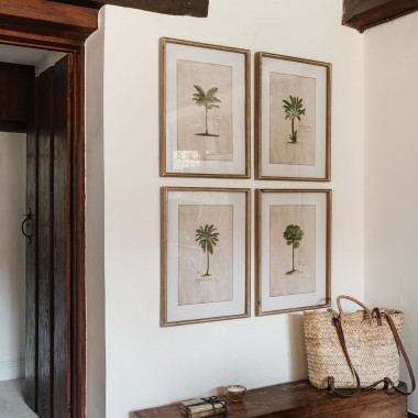 Ashmore Set of 4 Tropical Framed Prints | One World