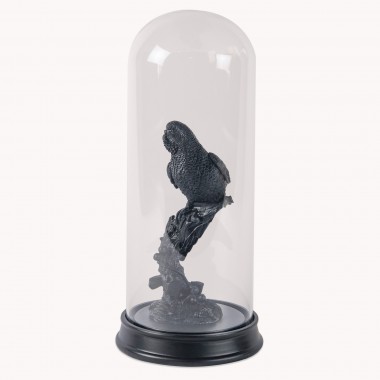 Crofton Exotic Bird in Glass Dome and Black Finish | One World