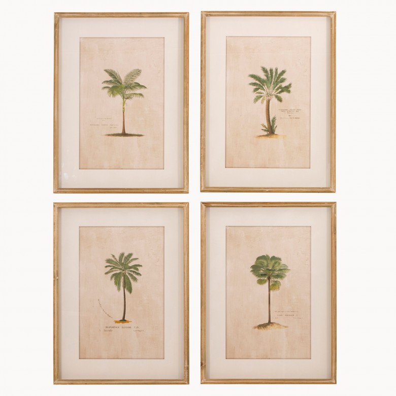 Brookby Set of 4 Framed Tropical Wall Art Wall Art One World