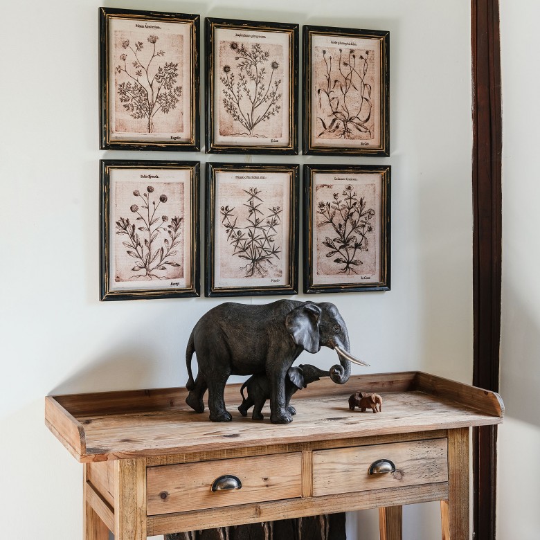 Brookby Set of 6 Framed Black and White Botanical Wall Art One World