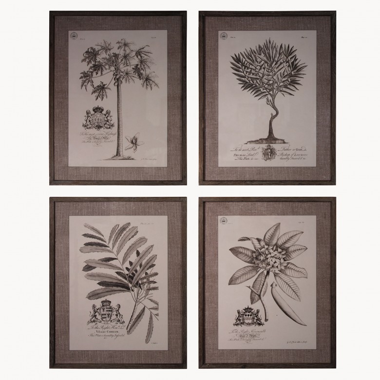 Brookby Set Of 4 Botanical Wall Art One World - Botanical Wall Art Set Of 4 Brookby Set Of 4 Botanical Wall Art One World - Botanical Wall Art Set Of 4