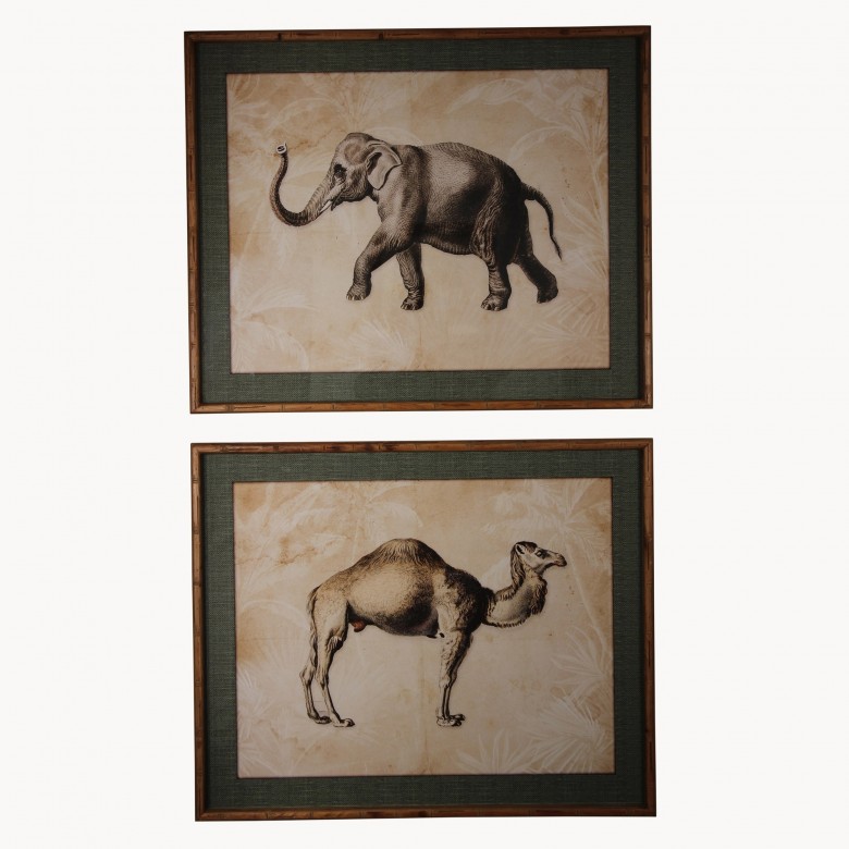 Brookby Set of 2 Framed Camel and Elephant Wall Art Wall