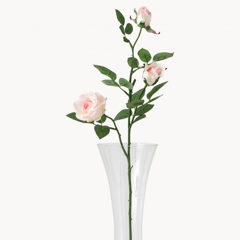 Sunbury Pink Rosebud Homeware One World