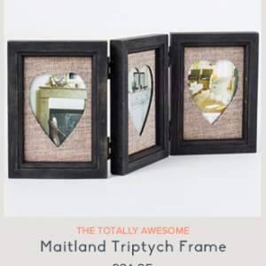 maitland-triptych-frame-newsletter-ow-2015