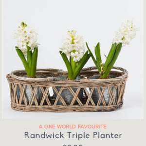 randwick-triple-planter-newsletter-ow-2015