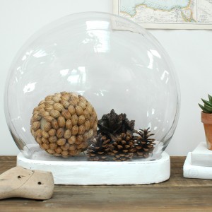 Cloche with natural items