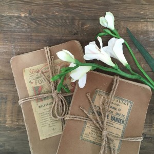 vintage style display books