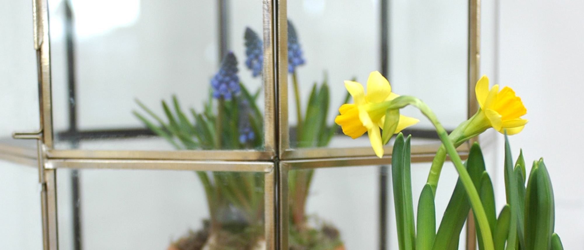 easter decorating with spring flowers