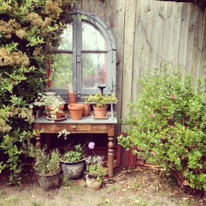 mirror in a country vintage style garden