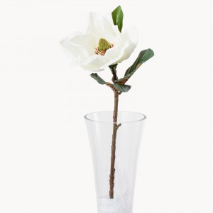 sunbury white magnolia