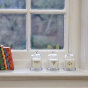 Three glass cloches on windowsill