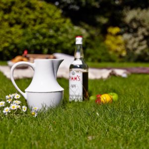 Pimms and white ceramic jug on grass