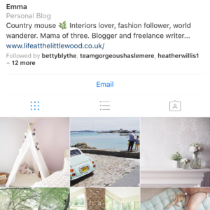 Little Wood Life Instagram profile