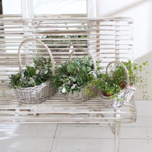 Three Wicker Baskets with green foliage