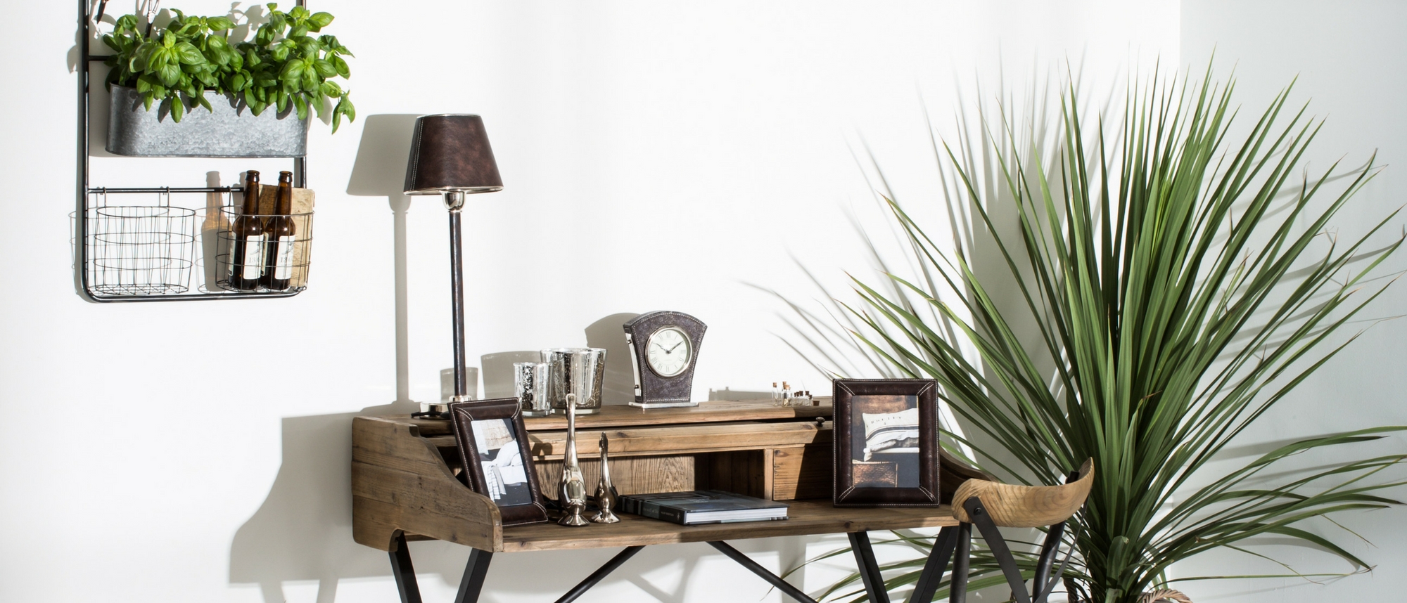 Home Office desk with green houseplant