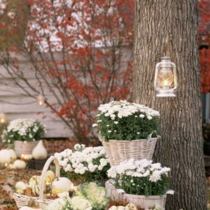 Outdoor pumpkins with flowers