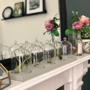 Glass domes on mantelpiece in front of large mirror