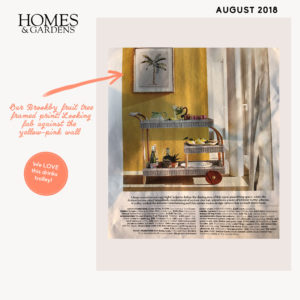 Homes and Gardens_August 2018