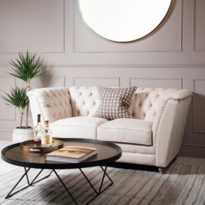 Two seater sofa with table and green plant