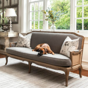 French style sofa with boxer dog