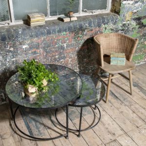 Side table with plant and chair