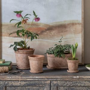Milston Planters